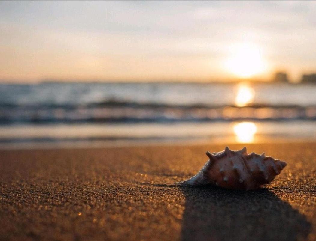 Huelin House Beach And Sun, Con Parking Y A 500 Metros De La Playa Apartment มาลากา ภายนอก รูปภาพ